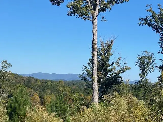 0 Mystic Drive, Ellijay, GA 30540 - #1