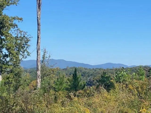 0 Mystic Drive, Ellijay, GA 30540 - #2