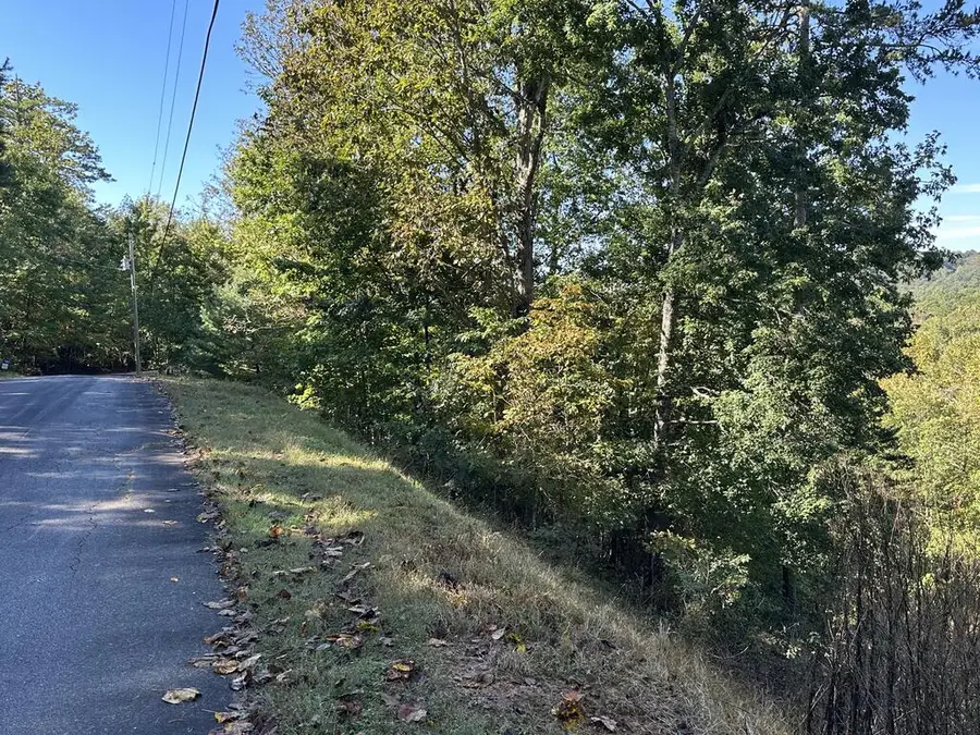 Lot 449 Mountain Tops Road, Fannin, GA 30513 - #2