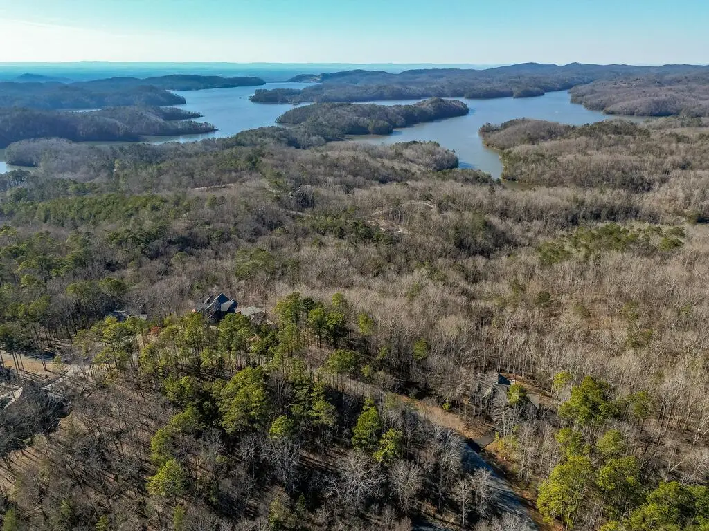 Lt 171 Doll Mountain Road, Ellijay, GA 30540 - #1