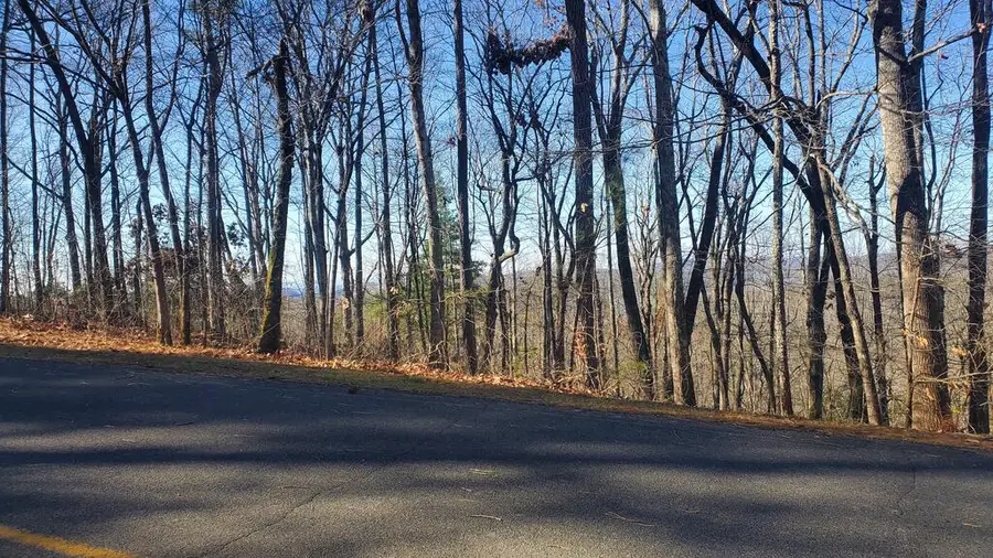 Lt 171 Doll Mountain Road, Ellijay, GA 30540 - #3