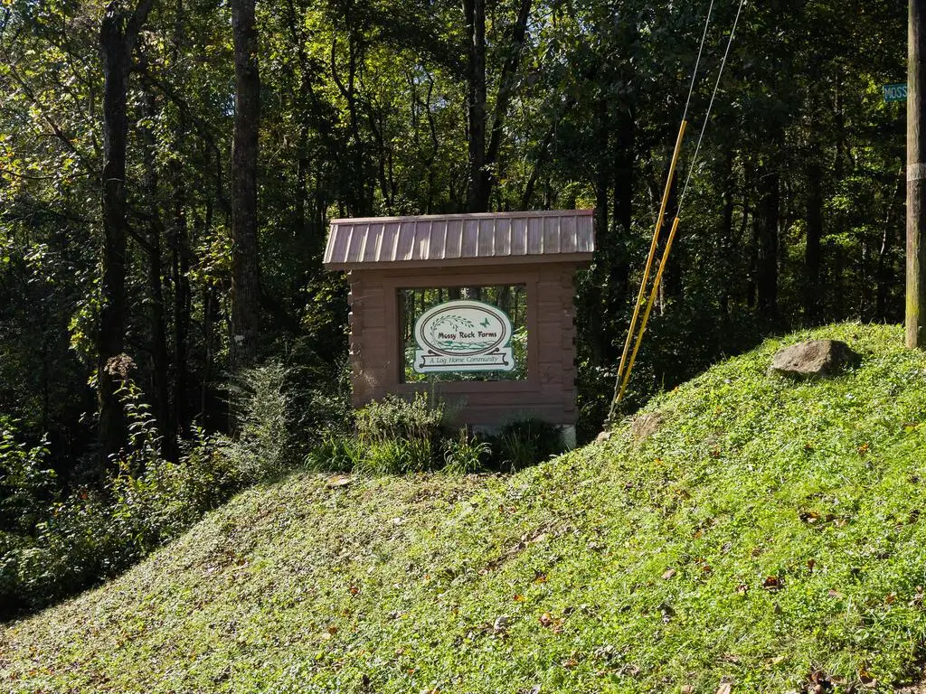 Lot 5 Mossy Hill Court, Ellijay, GA 30540 - #1