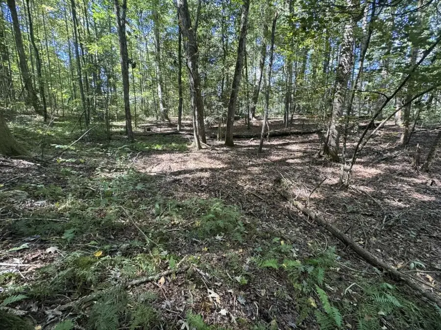 Lot 5 Mossy Hill Court, Ellijay, GA 30540 - #2