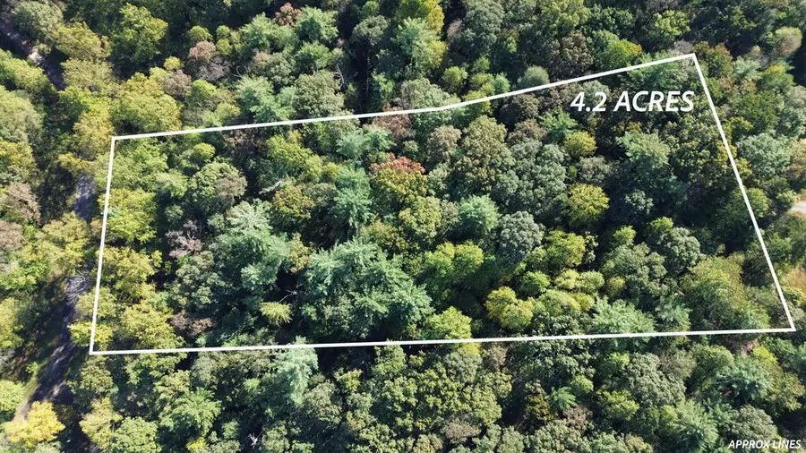 Lot 5 Mossy Hill Court, Ellijay, GA 30540 - #3