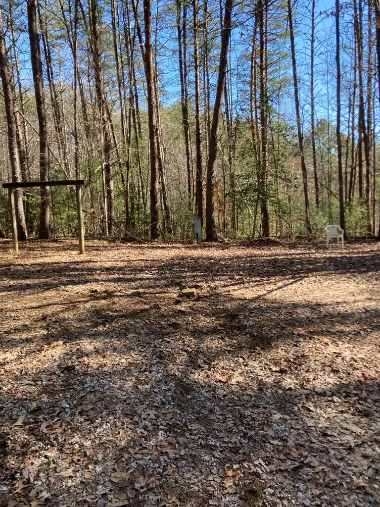 Lot 1 Barker Lane, Blue Ridge, GA 30513 - #2