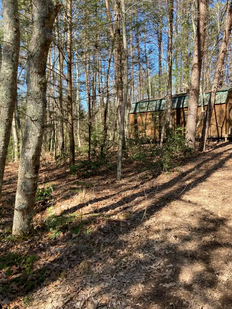 Lot 1 Barker Lane, Blue Ridge, GA 30513 - #3