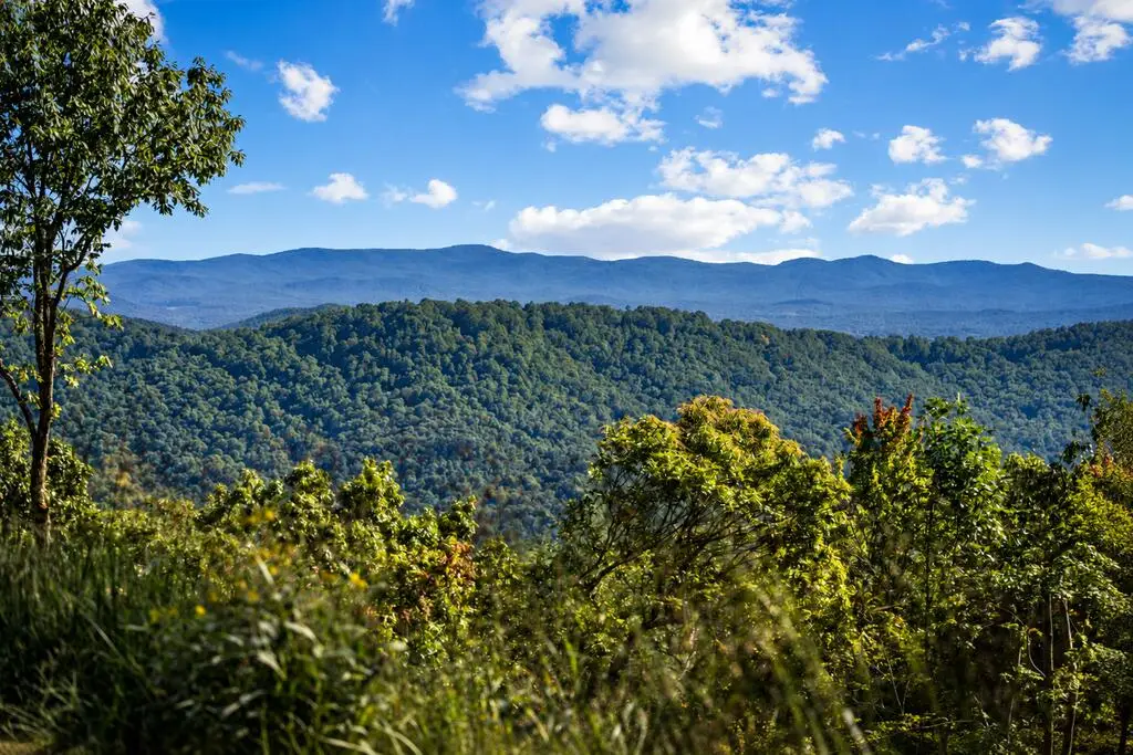 LT 25 Stone Fly Close Road, Ellijay, GA 30536 - #1
