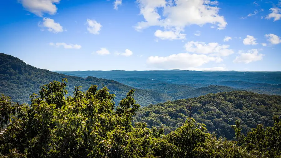 LT 26 Stone Fly Close Road, Ellijay, GA 30536 - #3