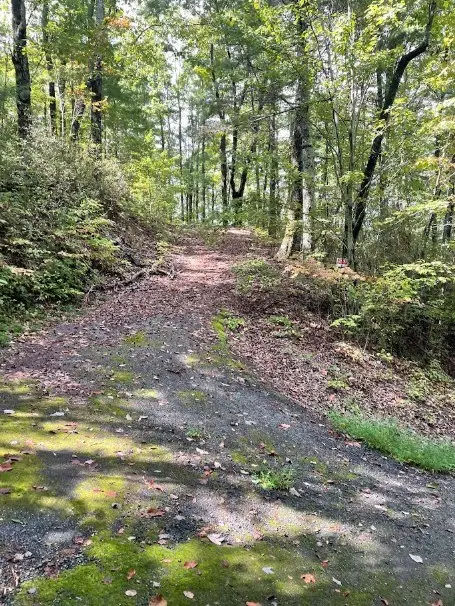 Lot 5 Sequoia Hills Ln, Clayton, GA 30525 - #3