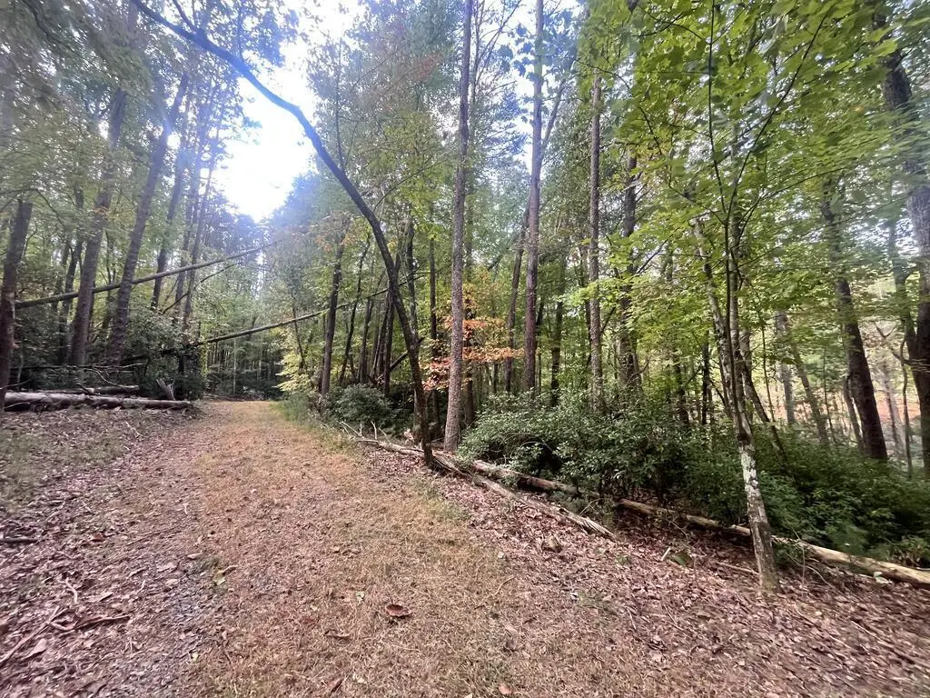 Tr 1 Turniptown Road, Ellijay, GA 30536 - #1