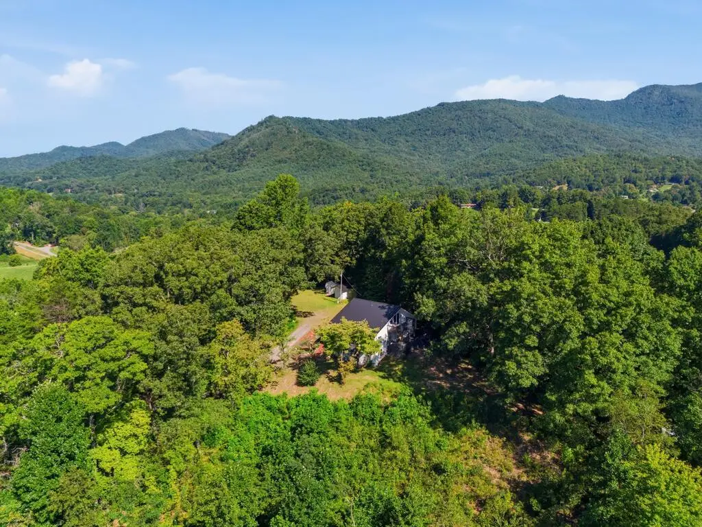 289 Bethabara Way, Hayesville, NC 28904 - #1