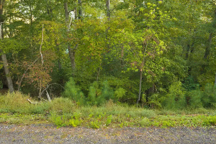 Lot 783R Matrix Circle, Ellijay, GA 30540 - #3