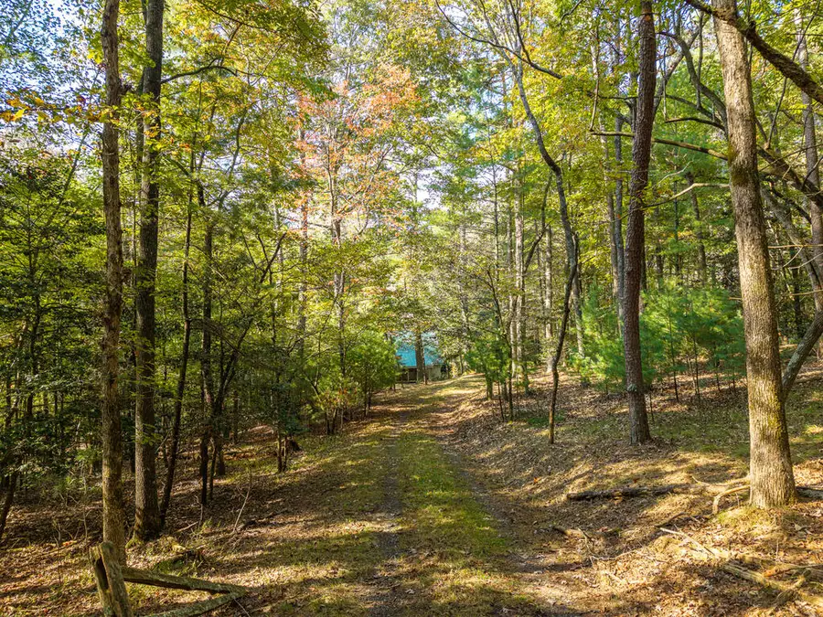 175 Indian Cave Road, Ellijay, GA 30536 - #3