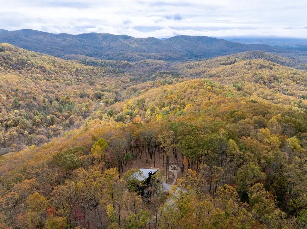 1250 Lost Forest Road, Ellijay, GA 30536 - #1
