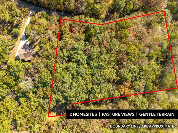 3.14 AC Hot House Drive, Mineral Bluff, GA 30559
