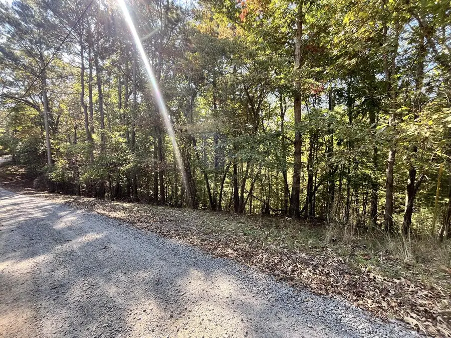 Lt 2532 Frigate Drive, Ellijay, GA 30540 - #2