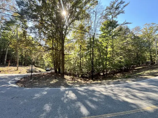 Lt 2032 Newport Drive, Ellijay, GA 30540