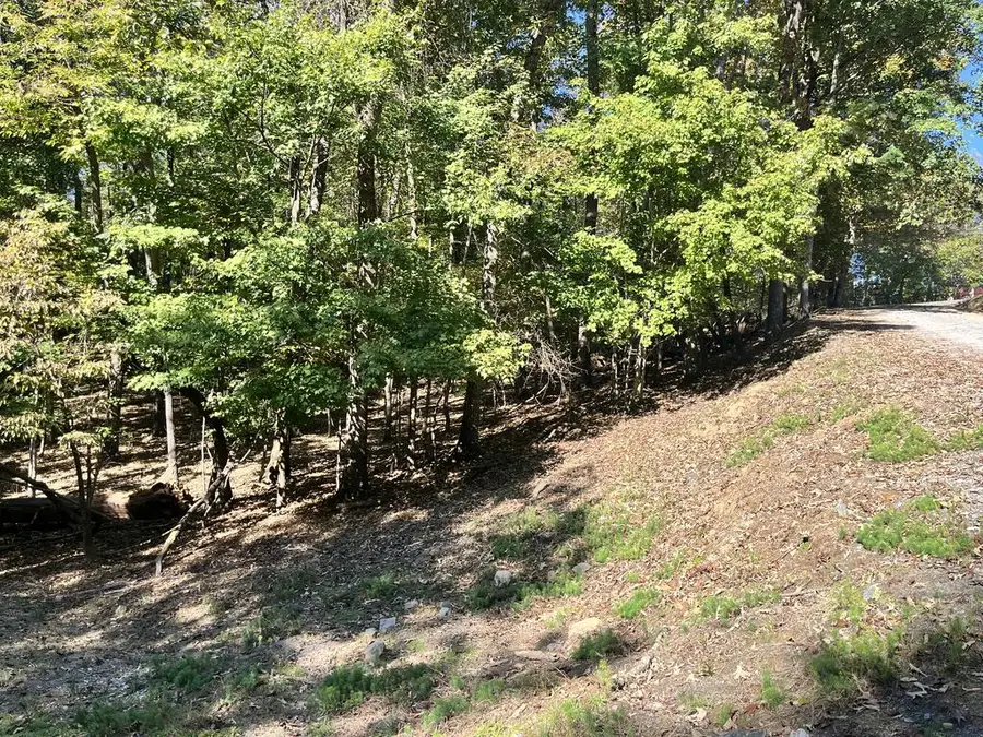 Lt 2032 Newport Drive, Ellijay, GA 30540 - #2