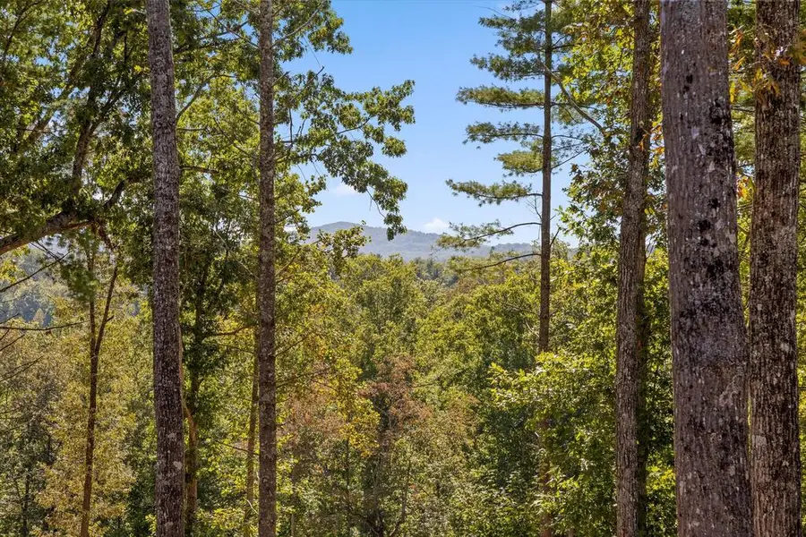 Lot 101 South Wind Court, Morganton, GA 30560 - #3
