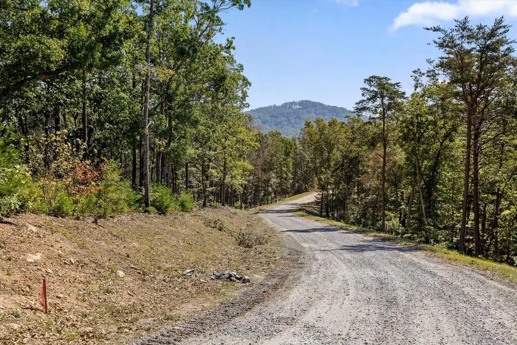 Lot 354 Calloway Mountain Road, Talking Rock, GA 30175 - #1