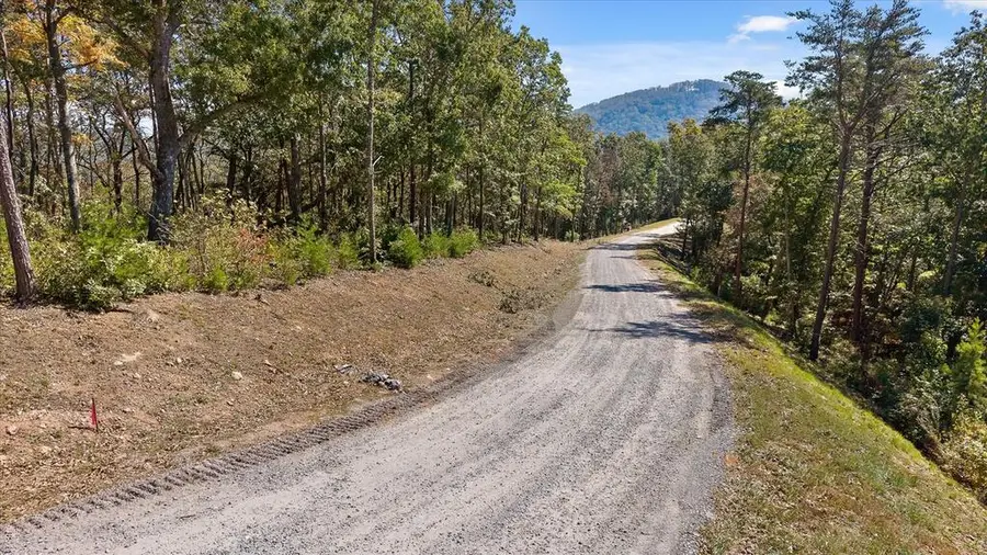 Lot 354 Calloway Mountain Road, Talking Rock, GA 30175 - #3