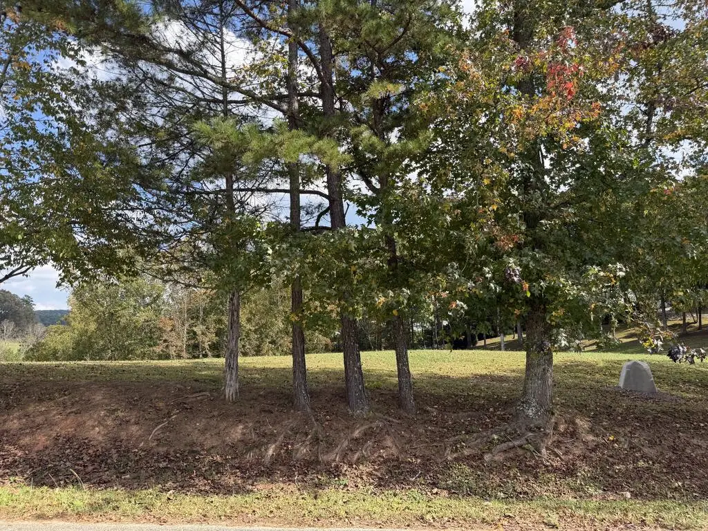 Lot 16 Lance Road, Murphy, NC 28906 - #1