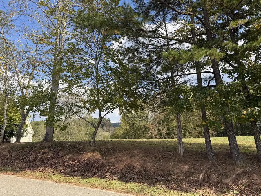 Lot 16 Lance Road, Murphy, NC 28906 - #2