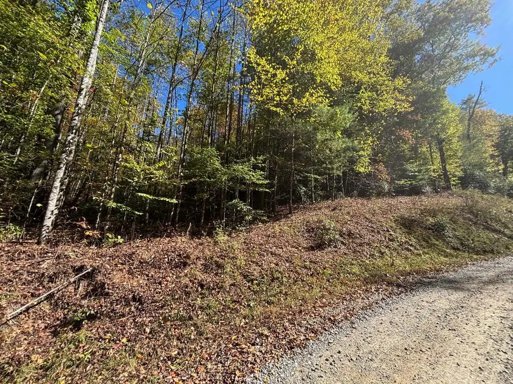 00 River Lane, Marble, NC 28905 - #1