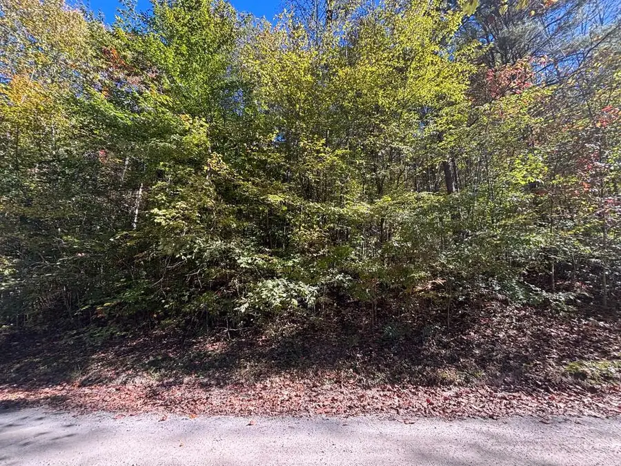 00 River Lane, Marble, NC 28905 - #2