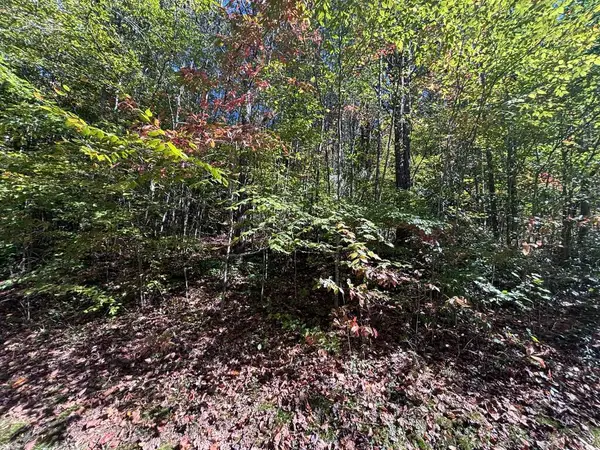 00 River Lane, Marble, NC 28905