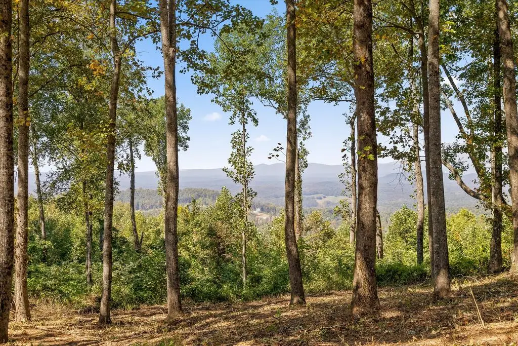 Lot 402 Double Oak Trl, Talking Rock, GA 30175 - #1