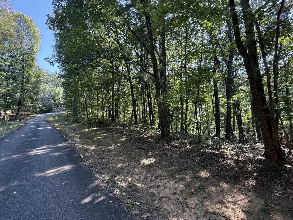 127 Green Cabin Way, Talking Rock, GA 30175 - #1