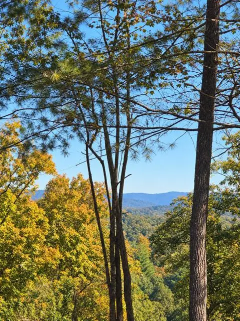 Lot B6 Bentwood Lane, Blue Ridge, GA 30513 - #2