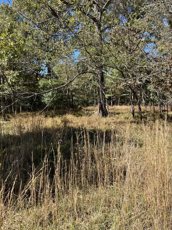 Lot 41 Crestwood Drive, Blairsville, GA 30512