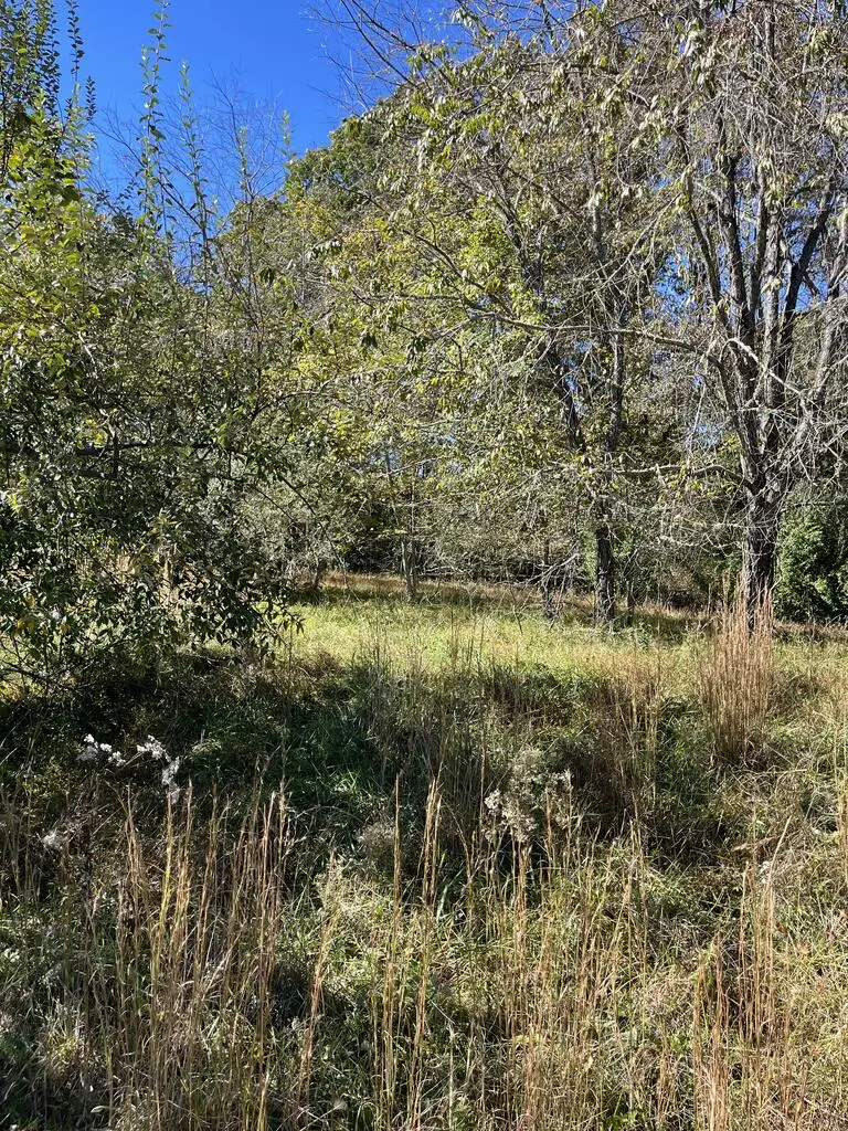 Lot 41 Crestwood Drive, Blairsville, GA 30512 - #3