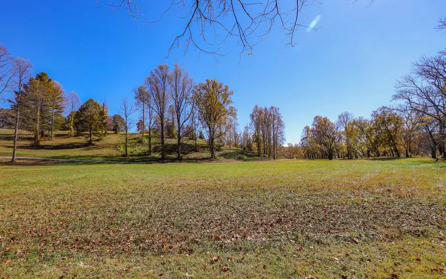 Lot 14 Hinton River Lane, Hayesville, NC 28904 - #2