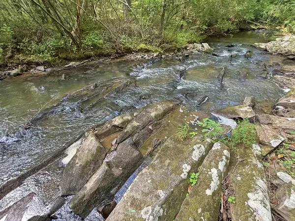 500 Mt. Springer Road, Ellijay, GA 30540