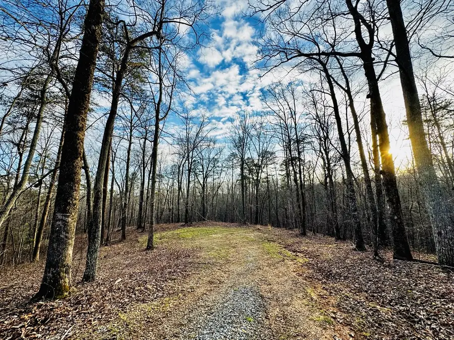 287 Lookout Valley Trail, Talking Rock, GA 30175 - #2