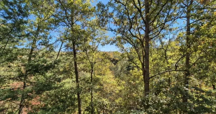 1575 Riverview Drive, Ellijay, GA 30540 - #3