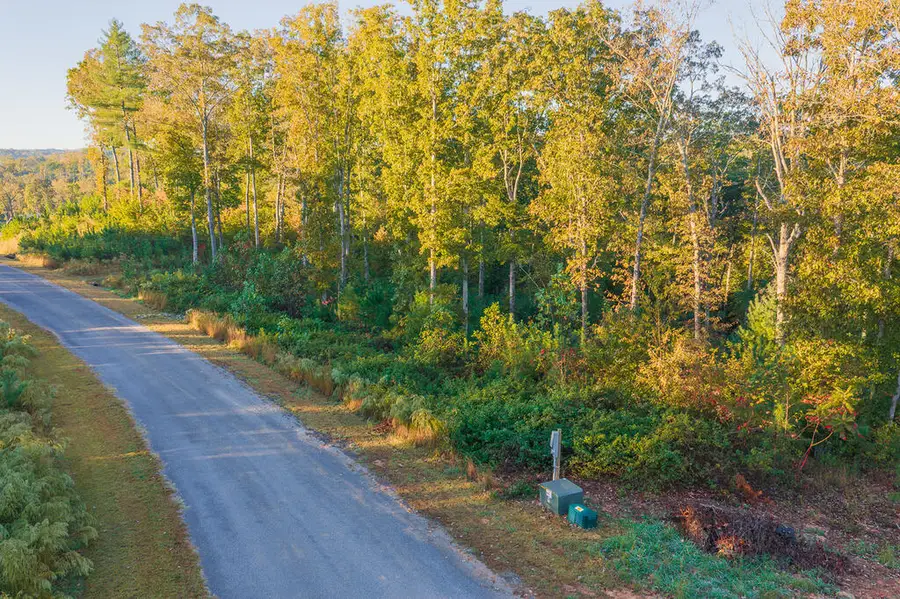 Lot 162 Lecroy Drive, Ellijay, GA 30540 - #3