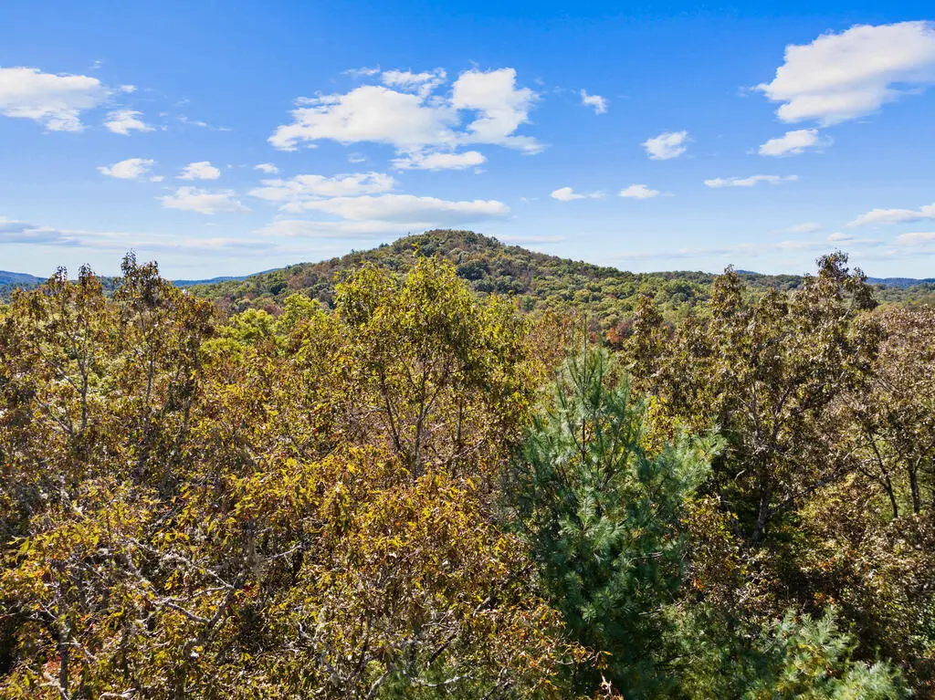 LT 12 Hillbilly Holler, Blue Ridge, GA 30513 - #1