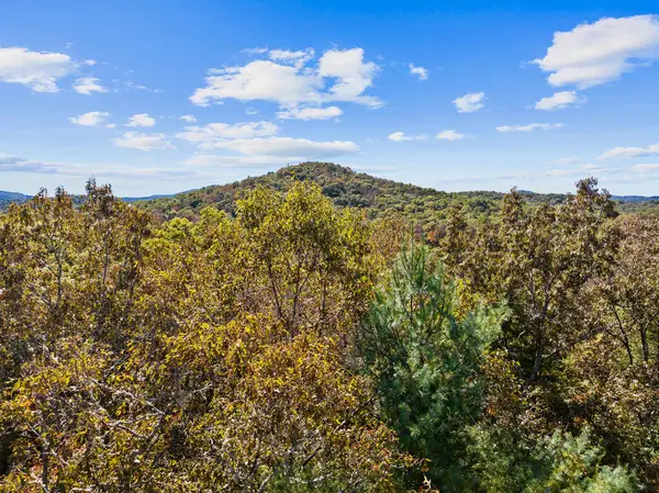 LT 12 Hillbilly Holler, Blue Ridge, GA 30513