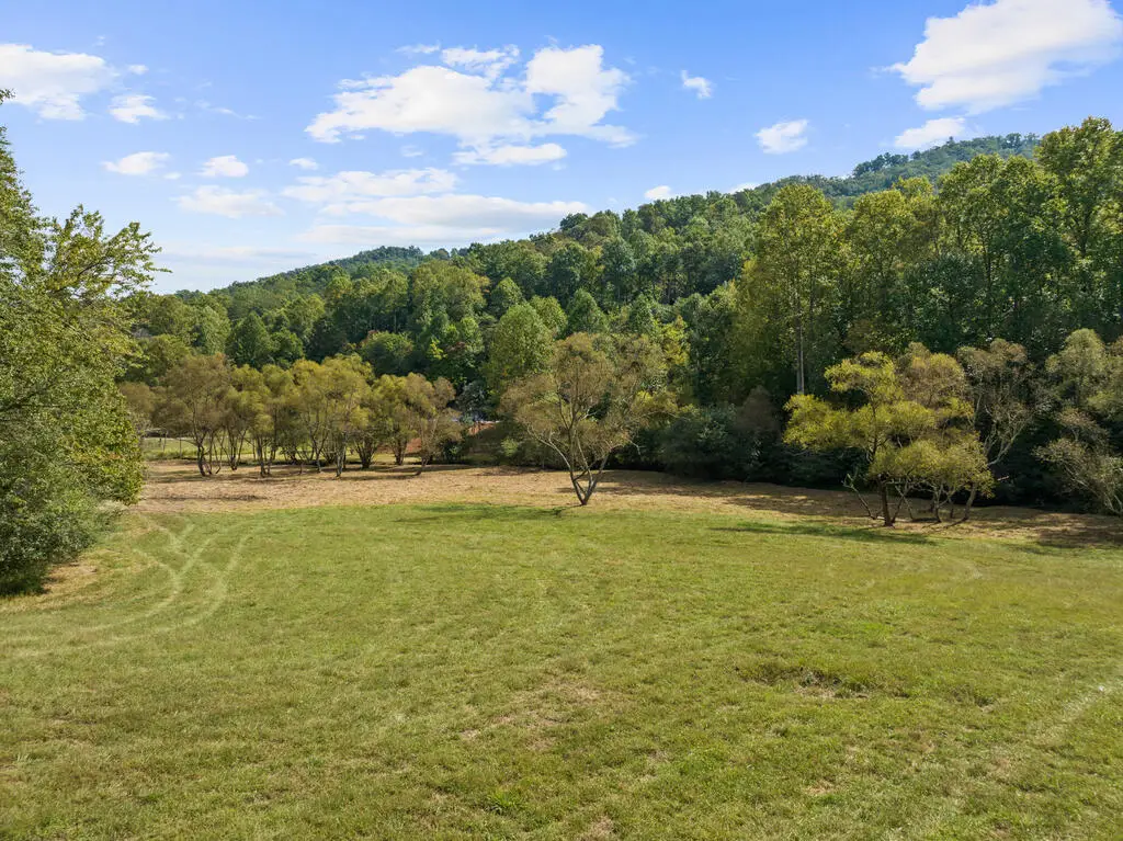 Lot 1 Premier Drive, Blue Ridge, GA 30513 - #1