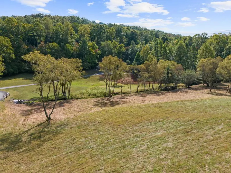 Lot 2 Premier Drive, Blue Ridge, GA 30513 - #2