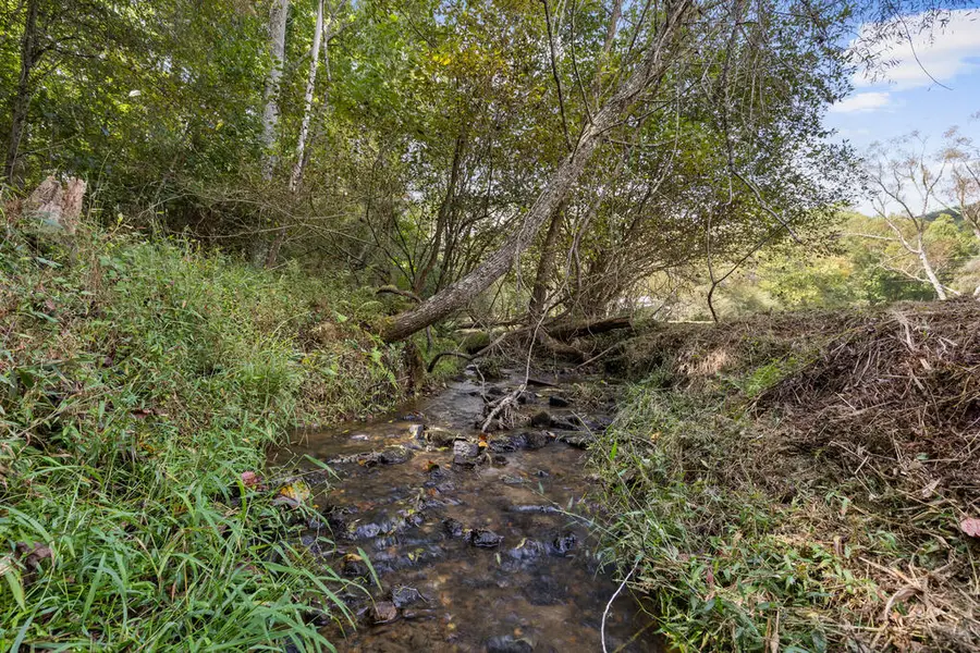Lot 3 Premier Drive, Blue Ridge, GA 30513 - #3
