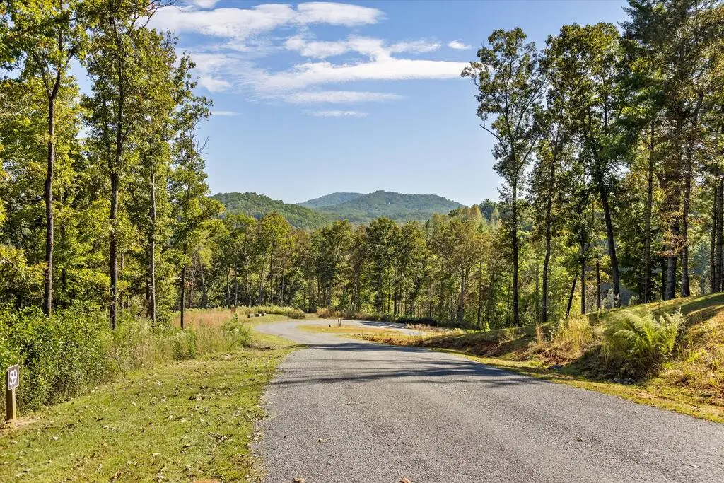 Lot 59 Ridge Dr, Morganton, GA 30560 - #1