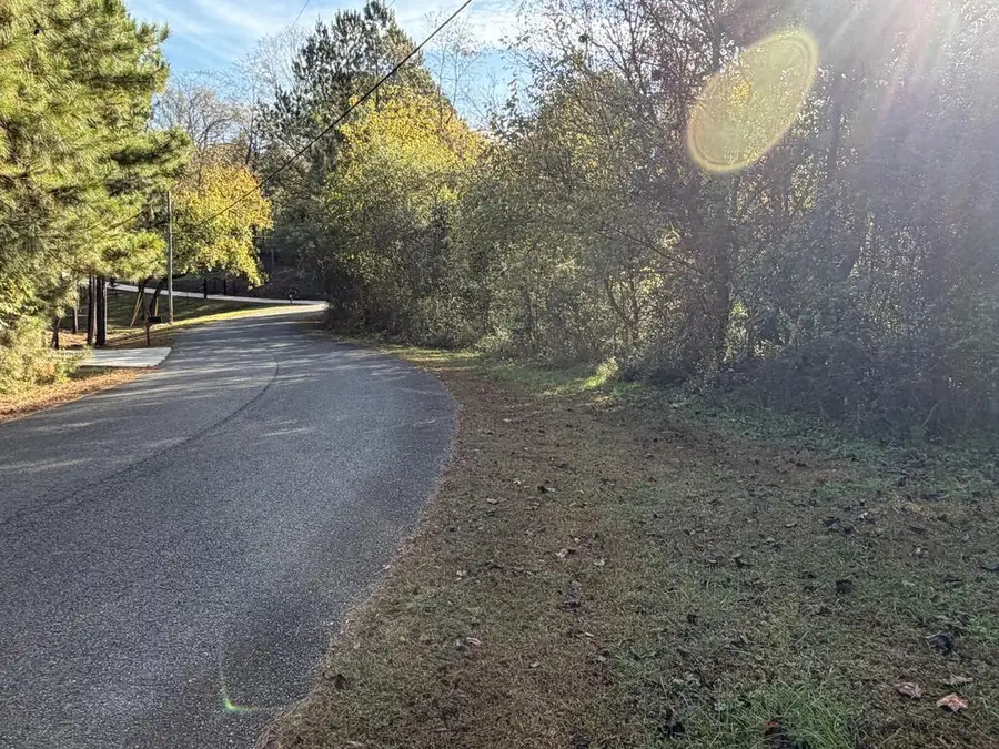 Lt 4 Leyland Heights Sd, Ellijay, GA 30540 - #2