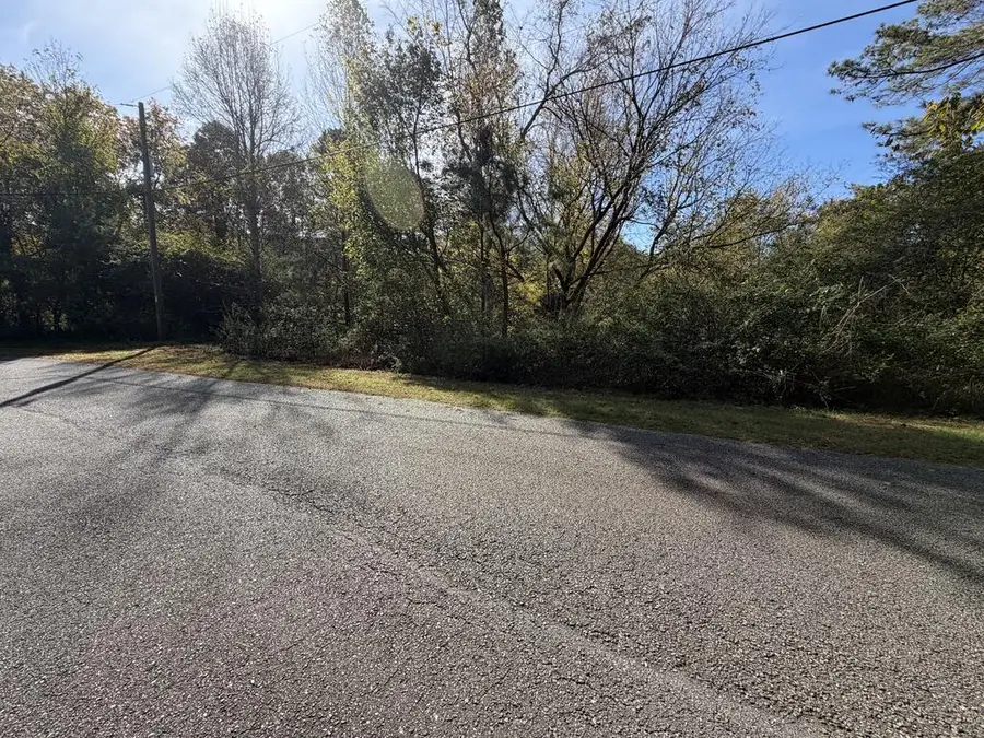 Lt 4 Leyland Heights Sd, Ellijay, GA 30540 - #3