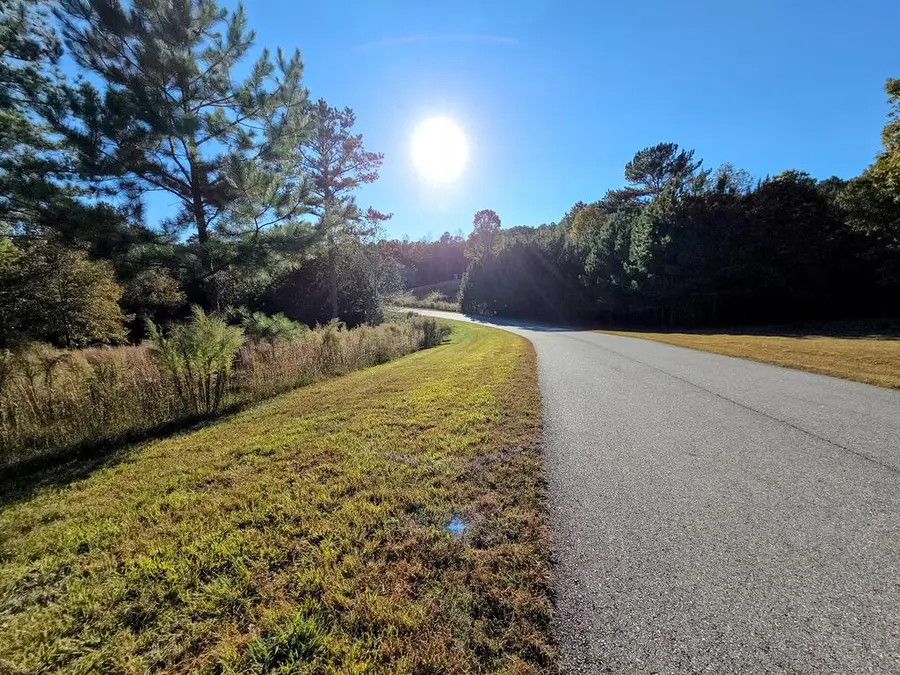 Lot 25 Water Oak Lane, Blairsville, GA 30512 - #3
