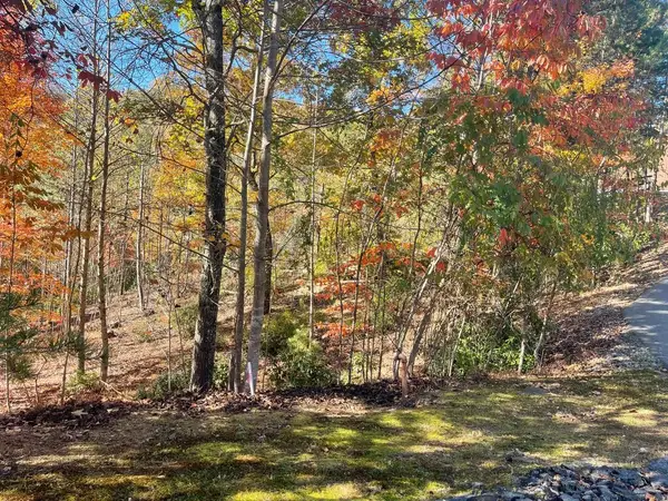 Lot #50 Ray Drive, Blairsville, GA 30512